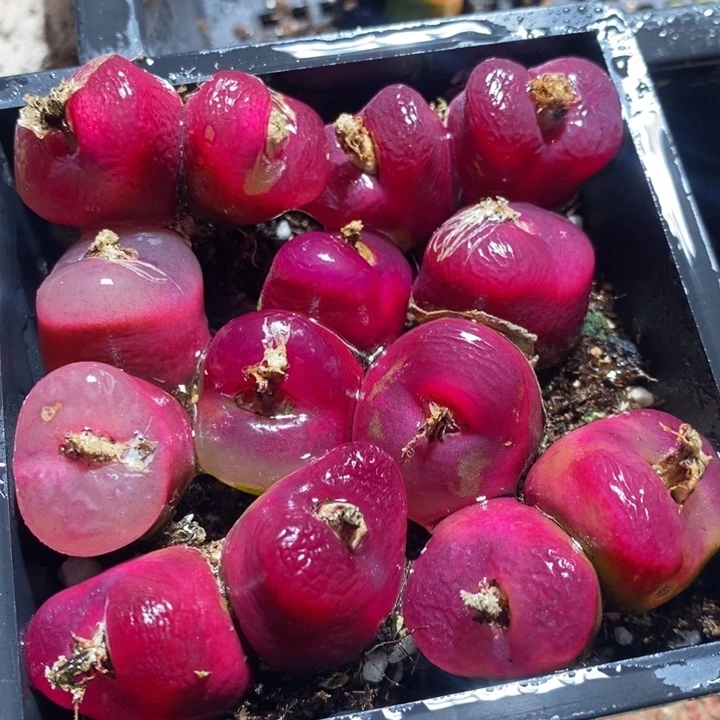 27315一组一组一组