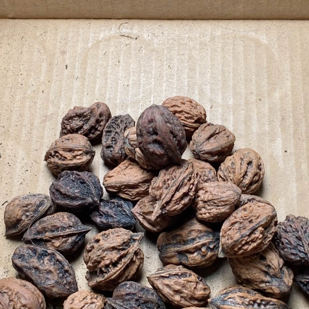 文玩核桃吊坠悟核桃85