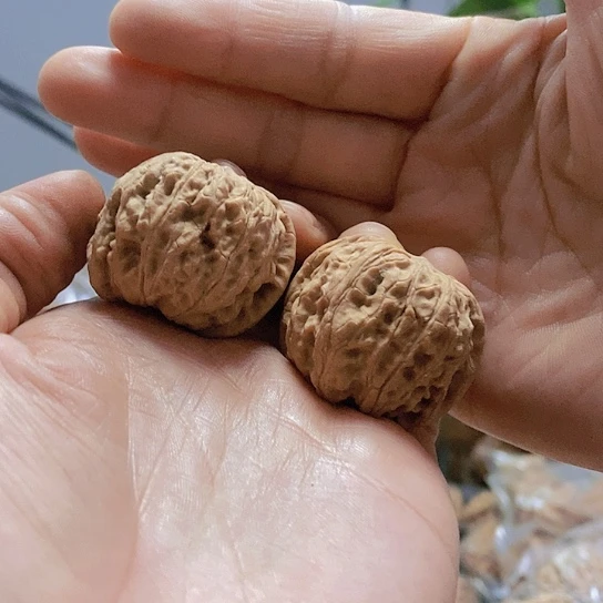 【闪购商品】把件文玩核桃35闷尖石墩小众