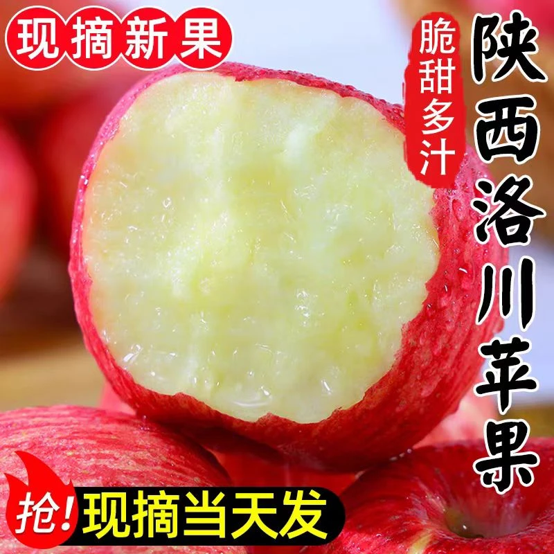 【顺丰明日达】陕西洛川红富士苹果酥脆香甜带箱3斤5斤8斤装陕西省