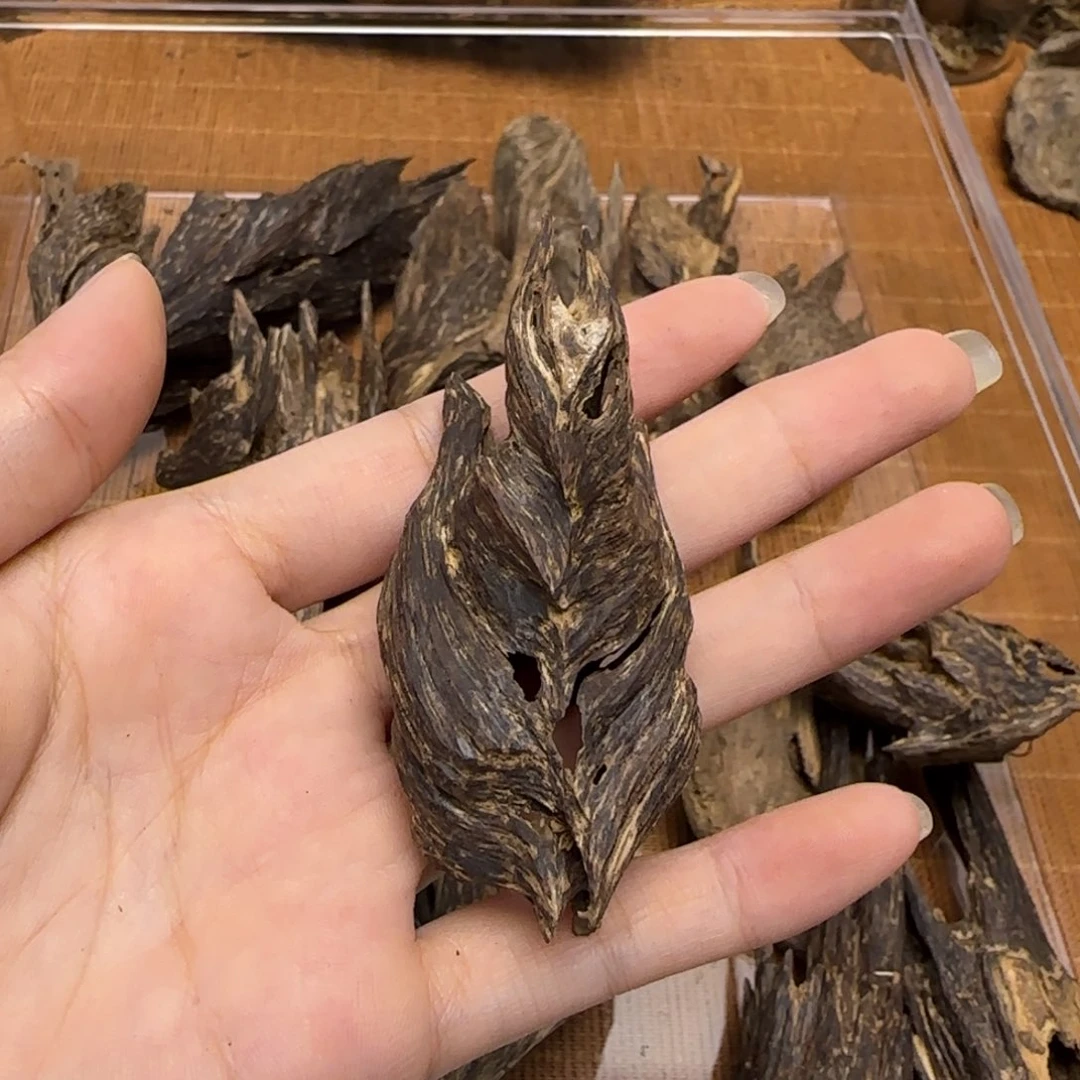 香榧木海南兰花结壳子4.8克
