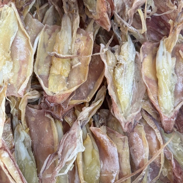 福建东山岛手钓中号鱿鱼母干货