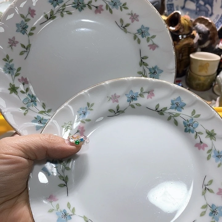 瓷片19.9包邮新疆西藏不发货