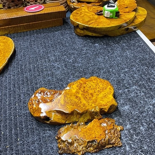 无*香杉干泡干泡干泡