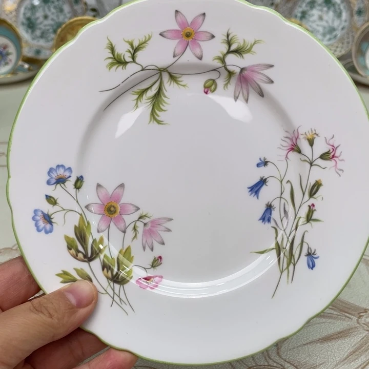 盘维多利亚欧洲中古