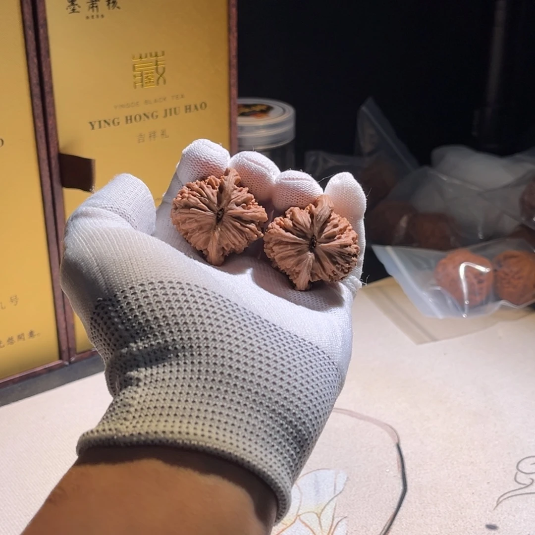 都***一楼子楼子楼子楼子