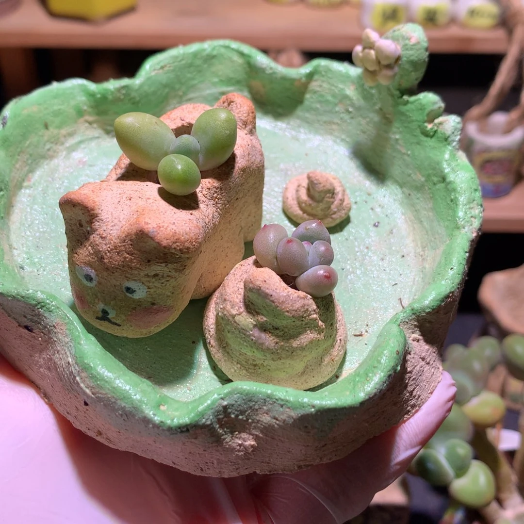 花花 小狗拉屎 一套哈哈哈