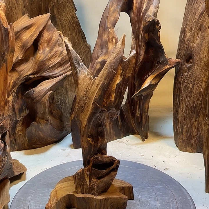 用***5竹炭直播间一物一拍