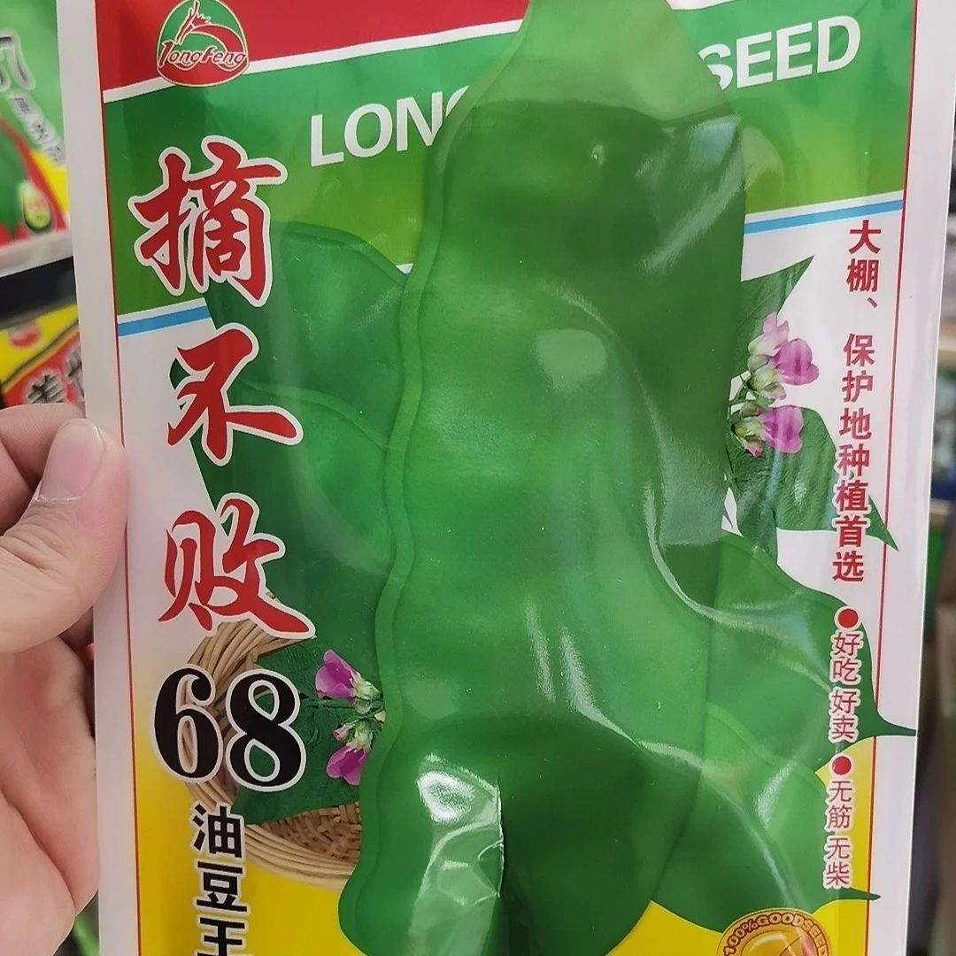 龙丰秋玉摘不败68豆角种子，大油豆，东北大油豆种子