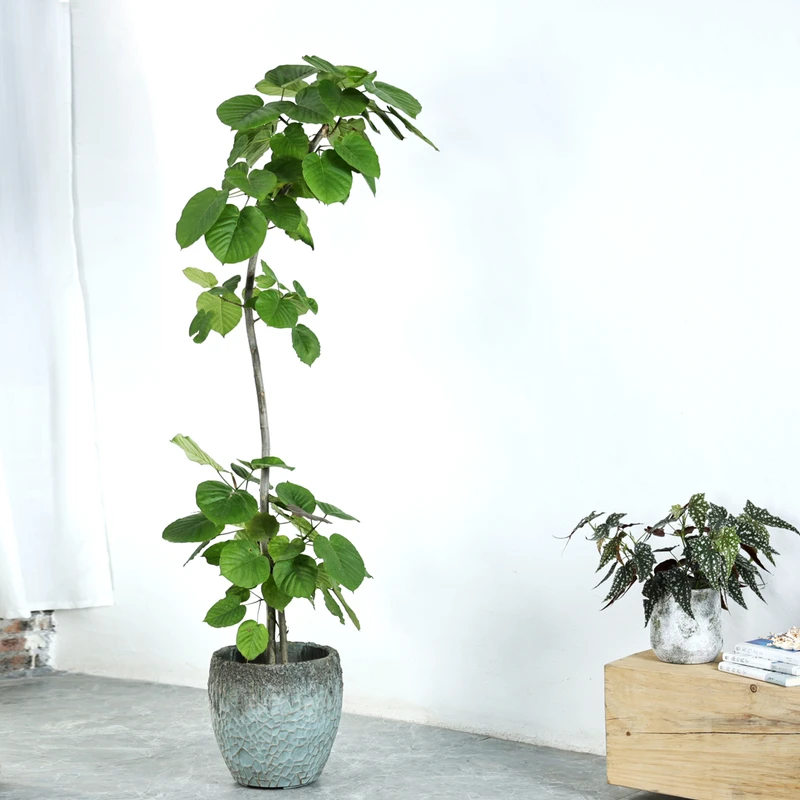 镁泥花盆复古艺术客厅商场室内外落地北欧特大型号绿植盆栽镁泥盆