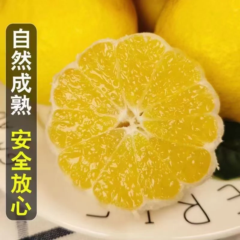 象山石浦  象山青（春香）果香浓郁，清口脆甜，汁水充足 ，