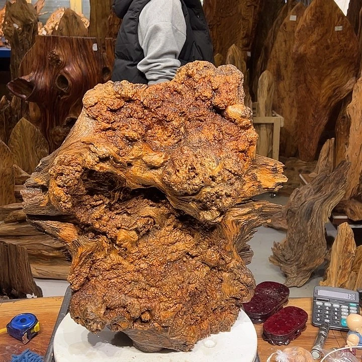 松木（琥珀木）谢*?