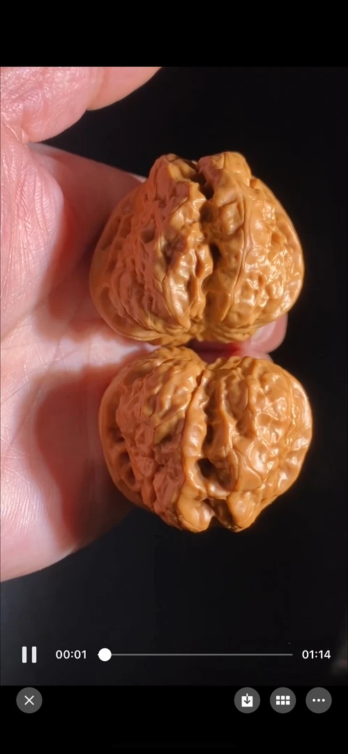 金蟾狮子头闷尖延庆蛤蟆头一代老树文玩核桃有腿有眼开背呱呱精品