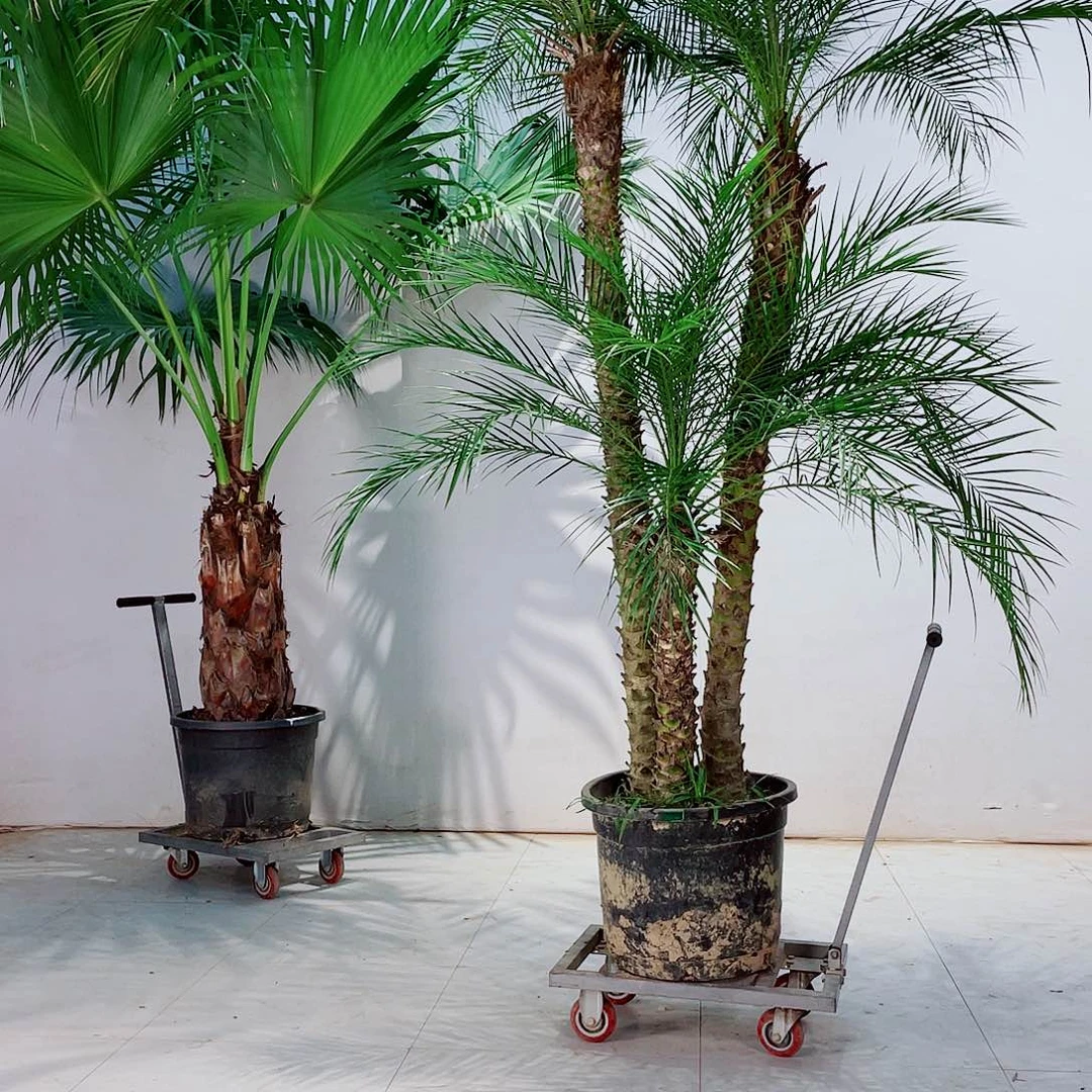 在****：13457889000000