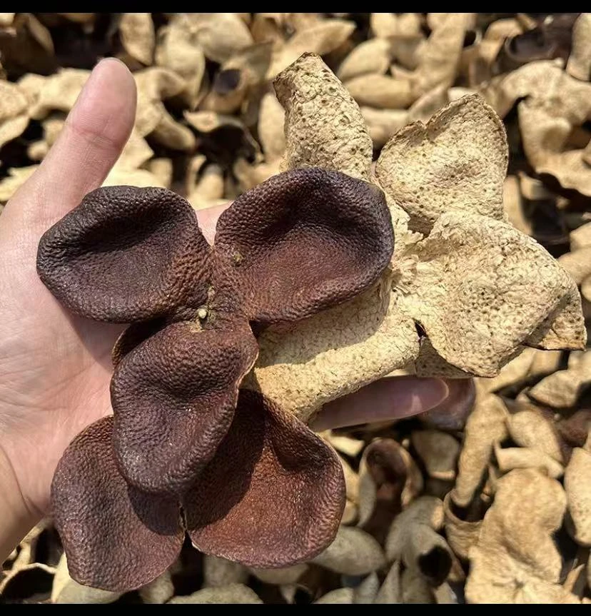 老陈皮泡水老陈皮茶叶干橘皮橙皮泡茶正宗特产装茶送礼