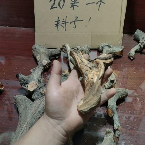 毛***）大果紫檀（缅甸花梨）