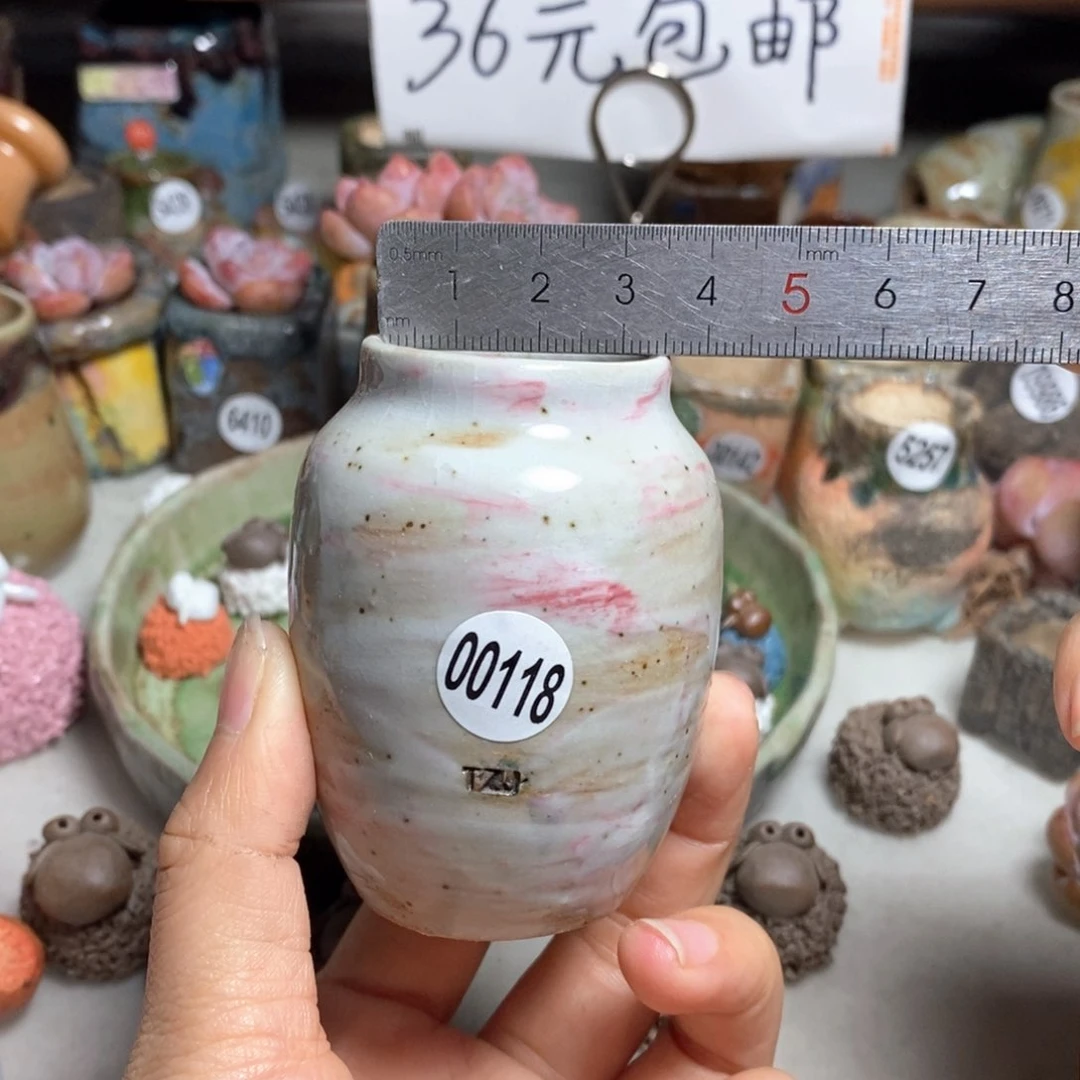 拍5送一个小礼物