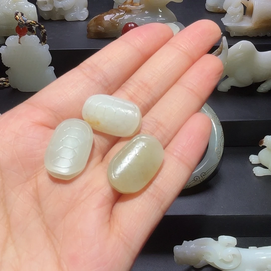 缸一物一图 所见所得