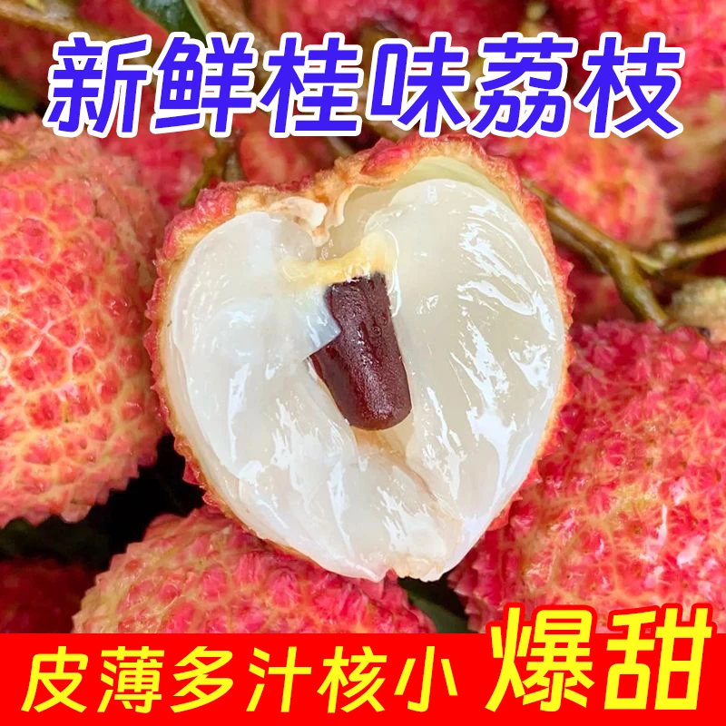 【顺丰冷链包邮】广东百年老树桂味荔枝现摘新鲜应季水果冷链