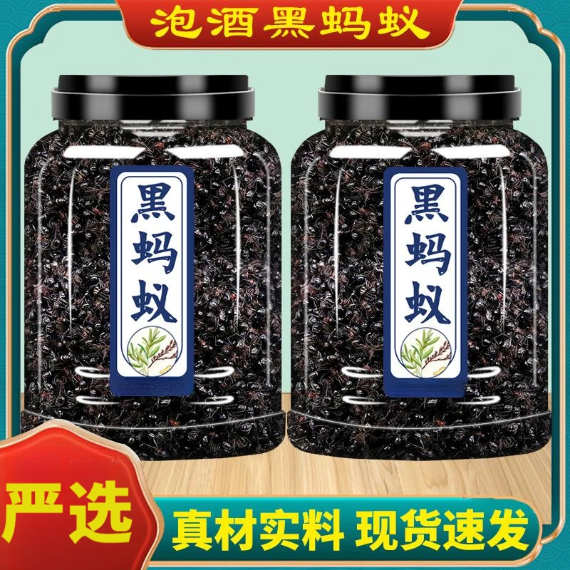 黑蚂蚁优质新鲜泡茶喝黑蚂蚁中药材可食用拟黑多刺蚁养生泡酒料