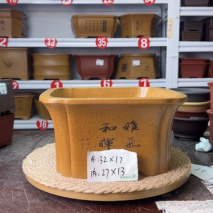 紫砂花盆蛇年大吉