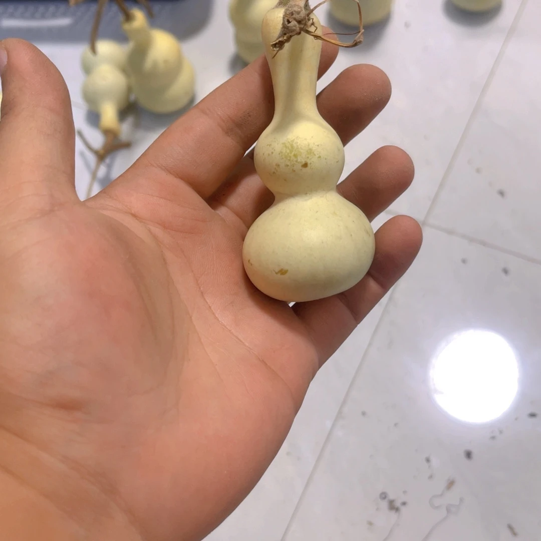 花***迷感谢大哥支持兄弟不保