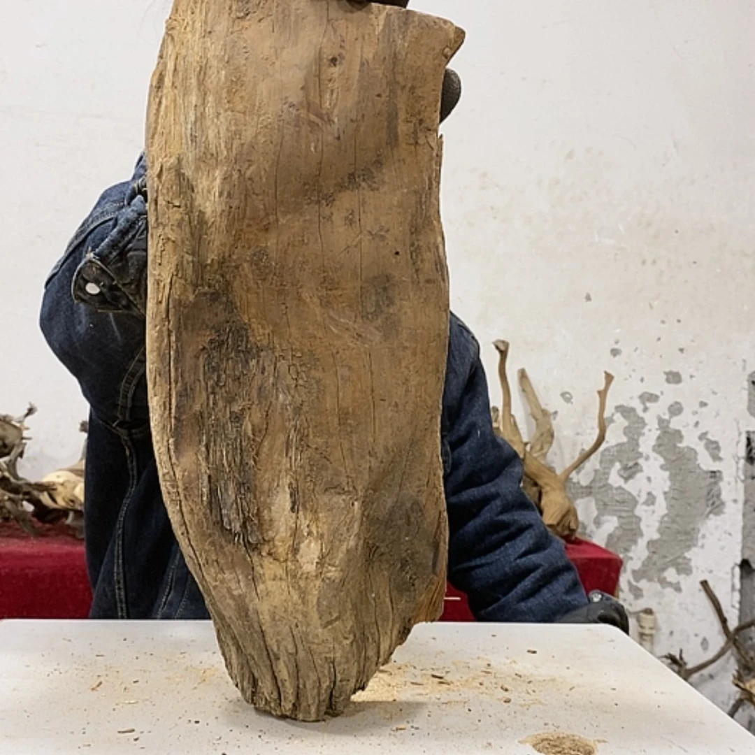 【闪购商品】柏木用****0我们都是好孩子