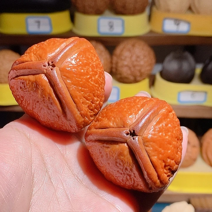 北*.野生大橄榄核雷公核4854