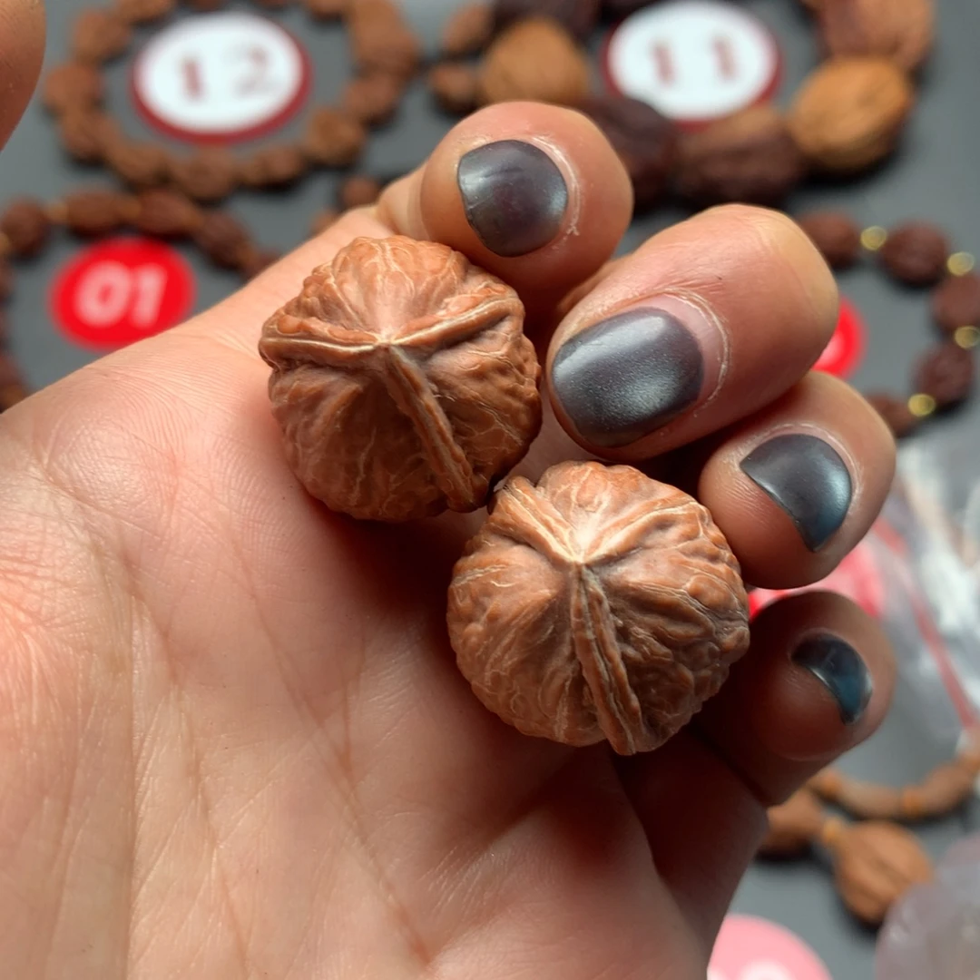 核桃28东北秋子三棱小小