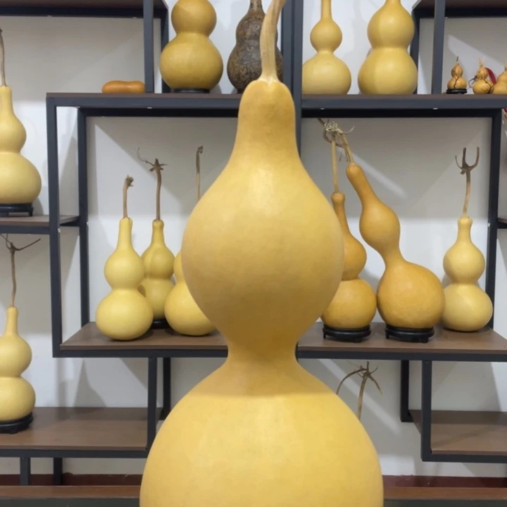 美****短嘴厚皮37肚大葫芦