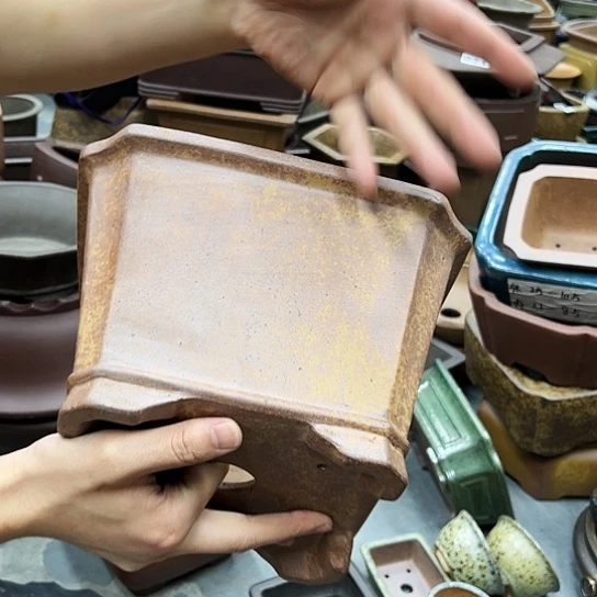 紫砂花盆中放的花都