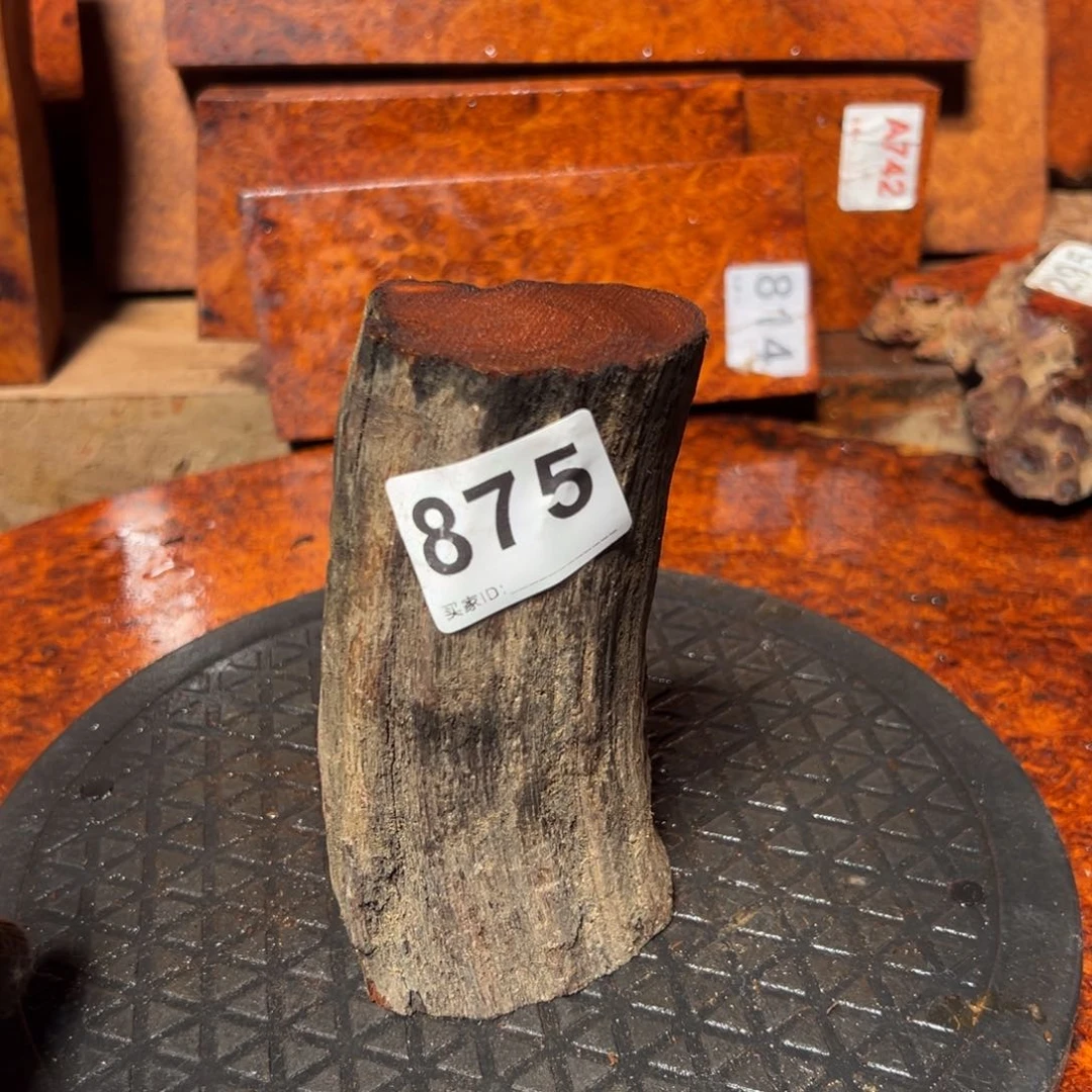 大果紫檀（缅甸花梨）