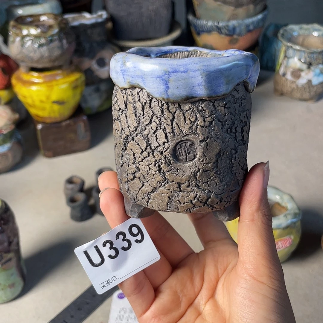 双十一限时福利 默认微次