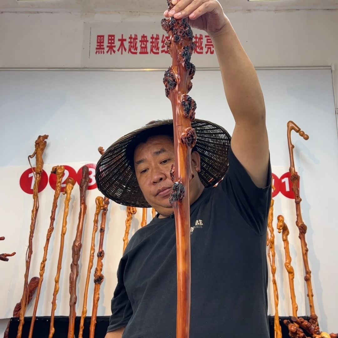 用***2黑果木其他黑果木787