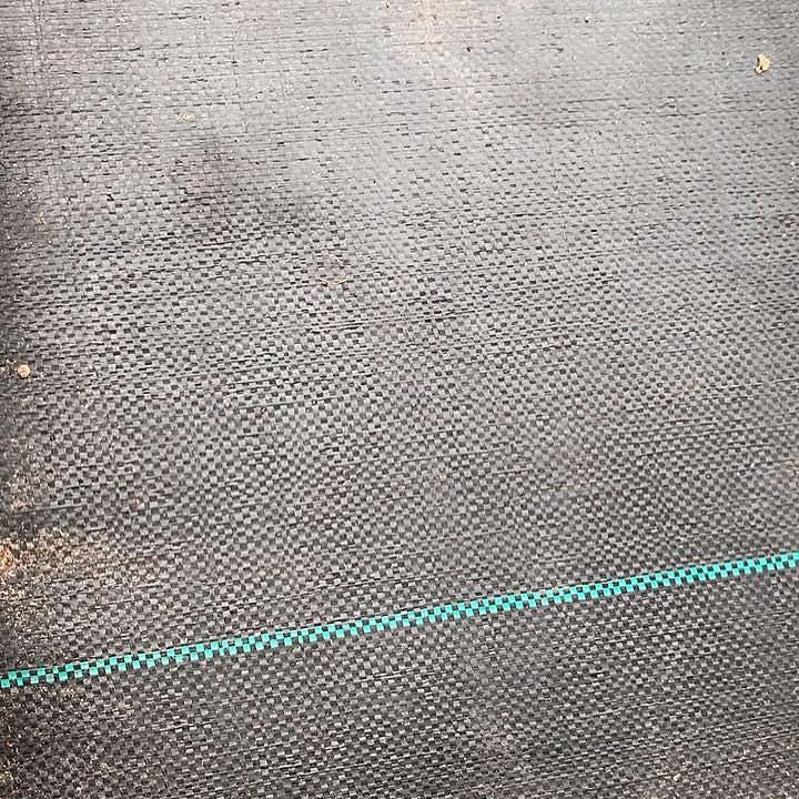 春**暖424，425，426号