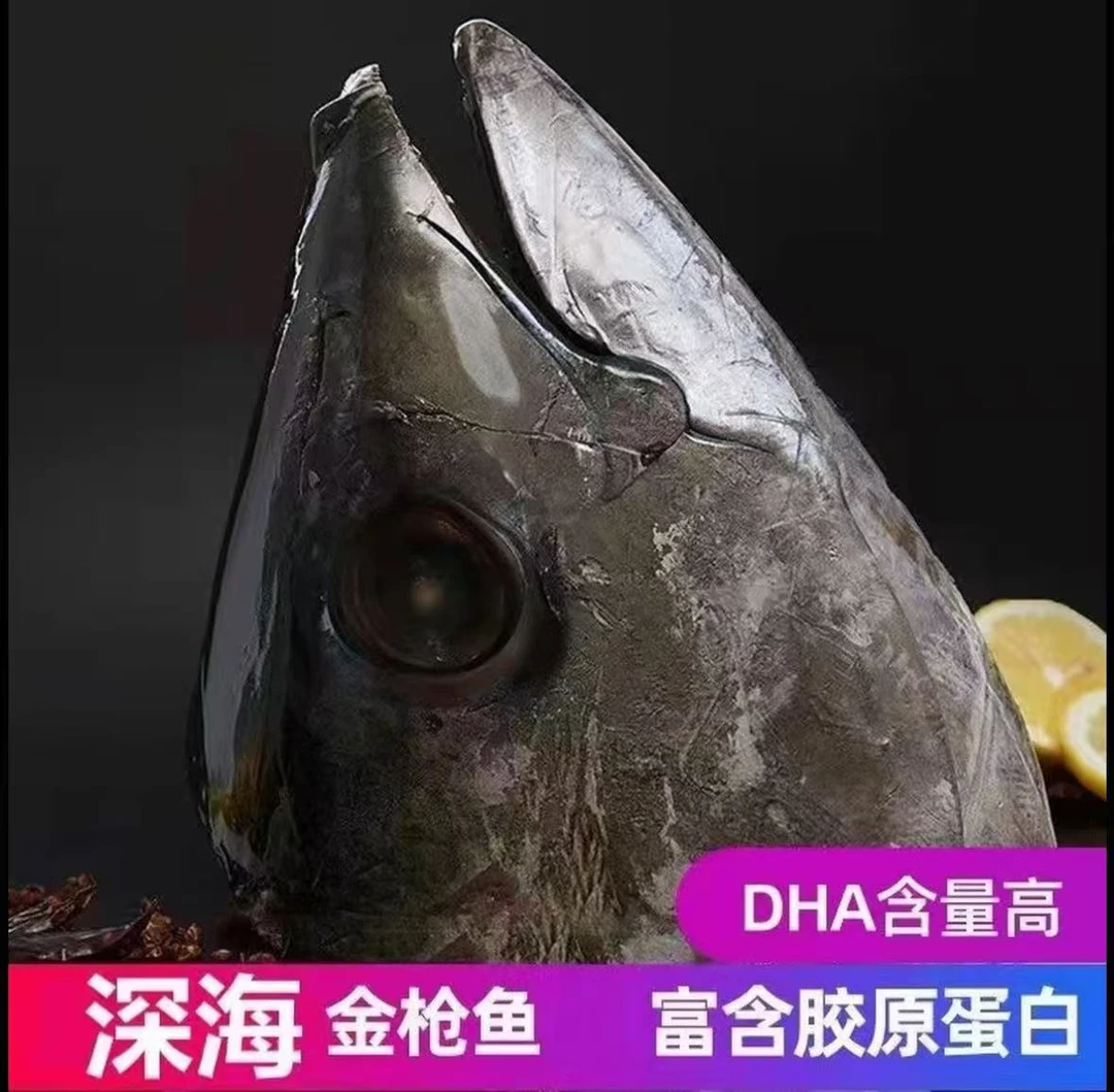 海钓野生蓝鳍金枪鱼鱼头