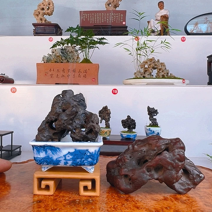 无花朵盆景，太湖石