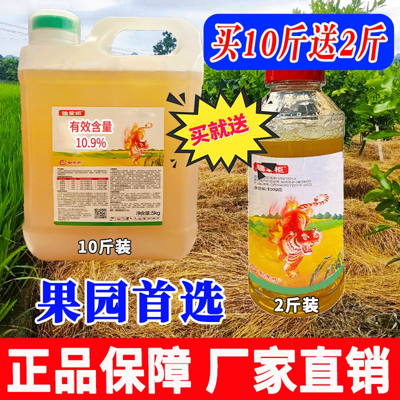 【10斤送2斤】正品精草果园茶园田埂空地通用小飞蓬牛筋四季喷雾