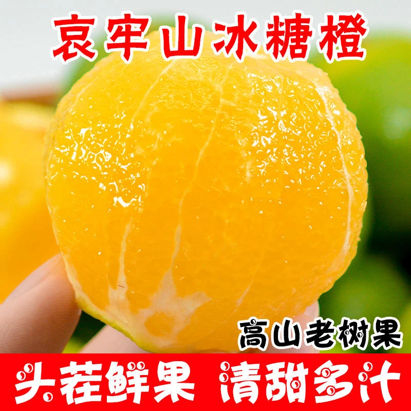L【现摘】云南哀牢山冰糖橙甜脐青皮橙子彩箱褚甜橙批发包邮
