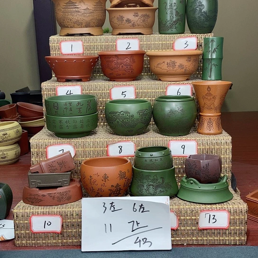 紫砂花盆北**龙我在等他