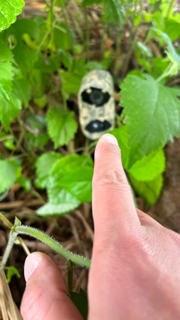 深山户外果园防盗器