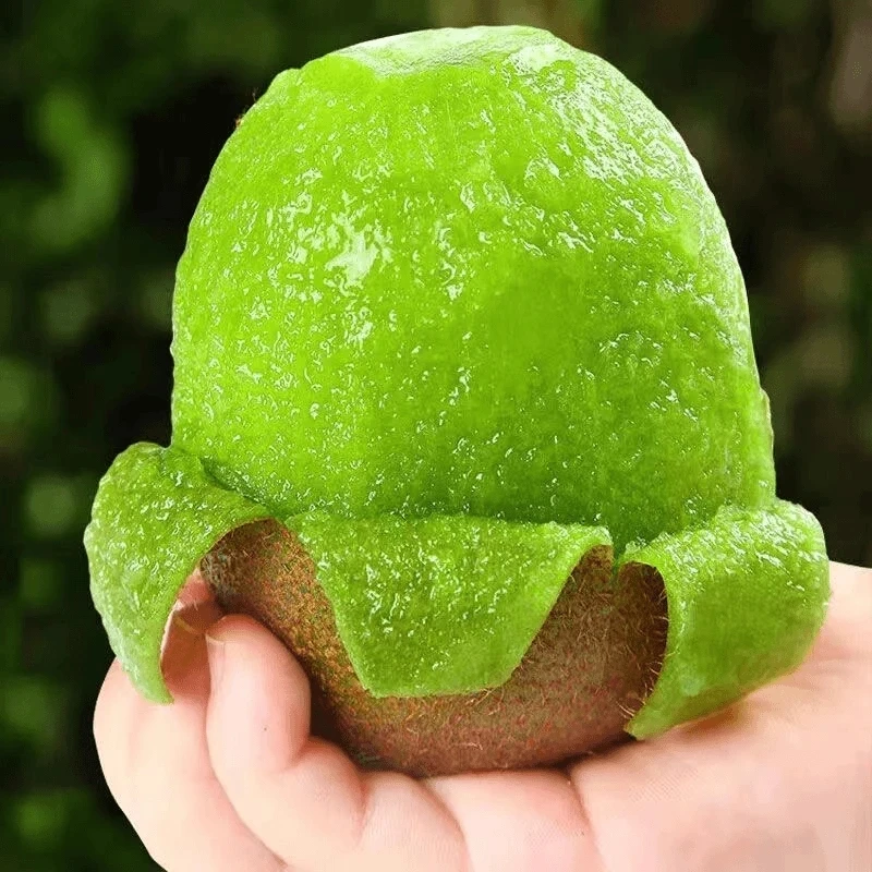 爽植果陕西周至徐香猕猴桃 15枚【60-80克】新鲜水果 纯甜绿心