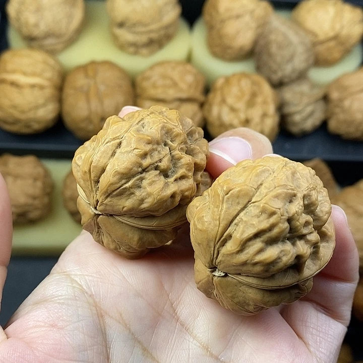 吊坠文玩核桃穿山甲蛤蟆39