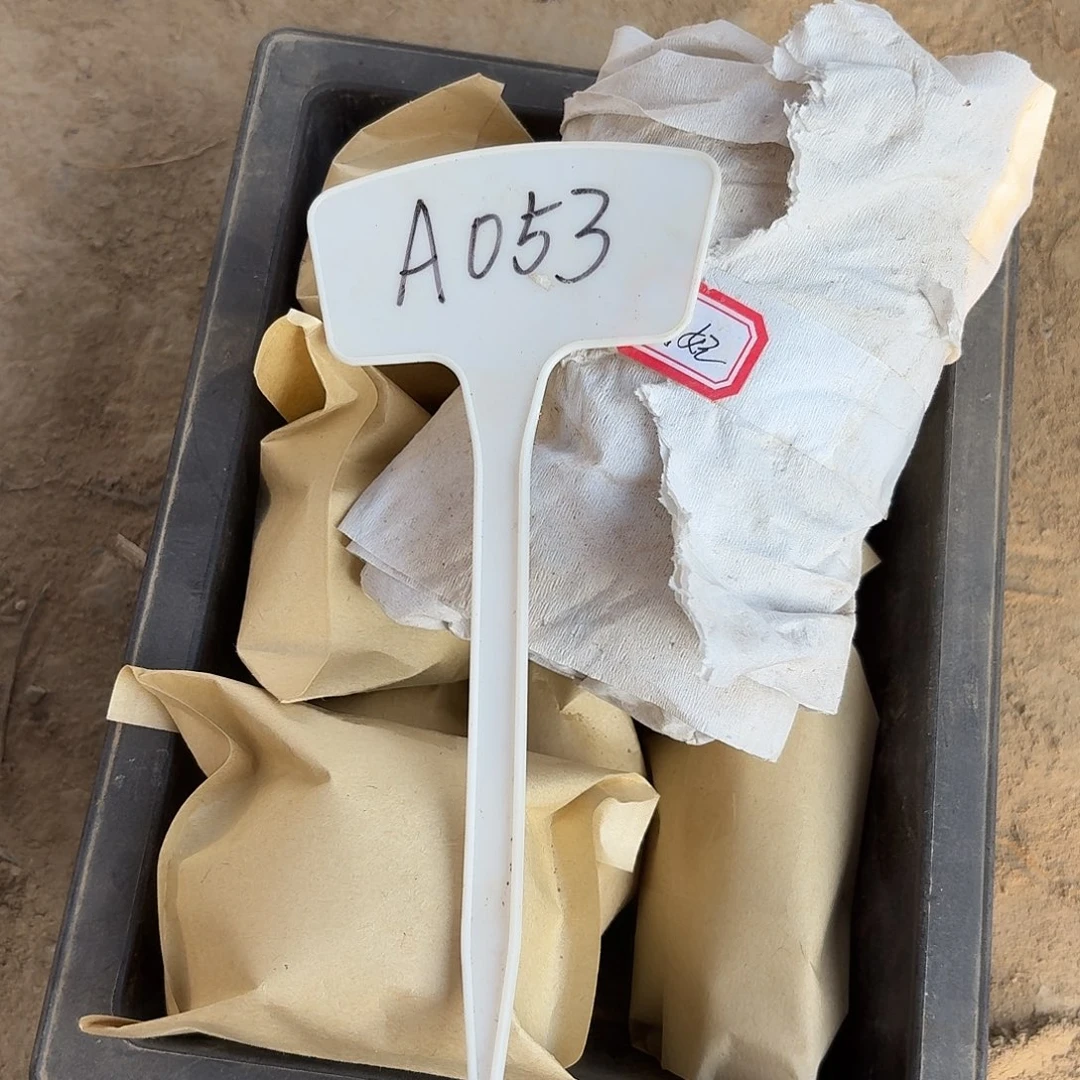 苏***YA053,退单瑕疵歪头