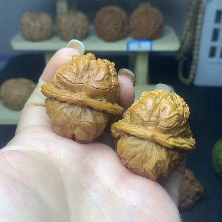 6666666666666666666666