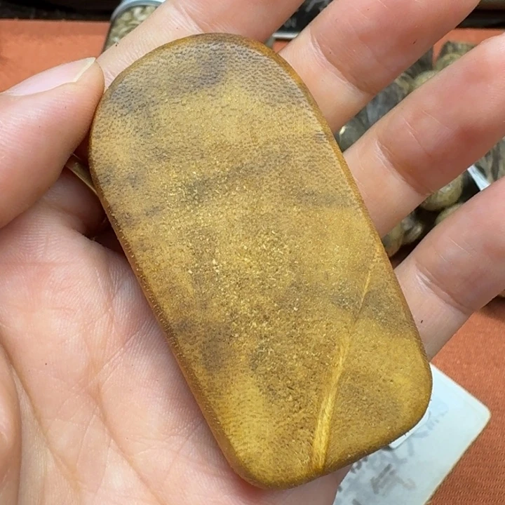 大叶紫檀（黑酸枝木类）