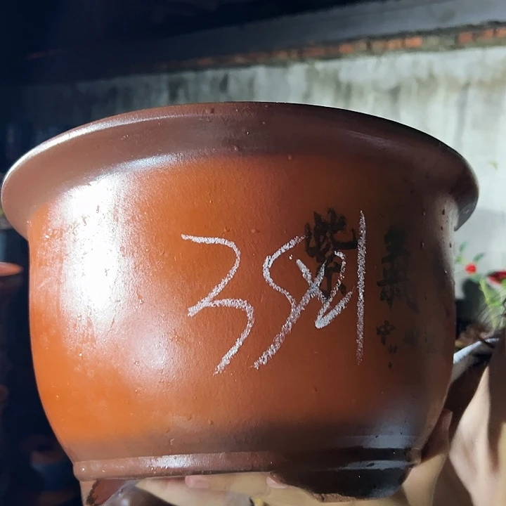 35紫气东来花盆花盆花盆×2