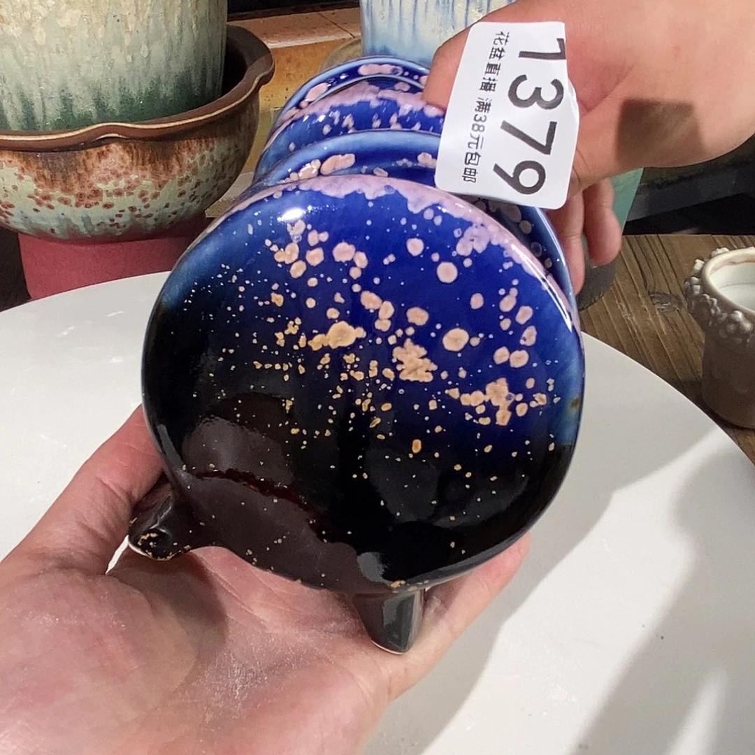 花盆花盆花盆花盆