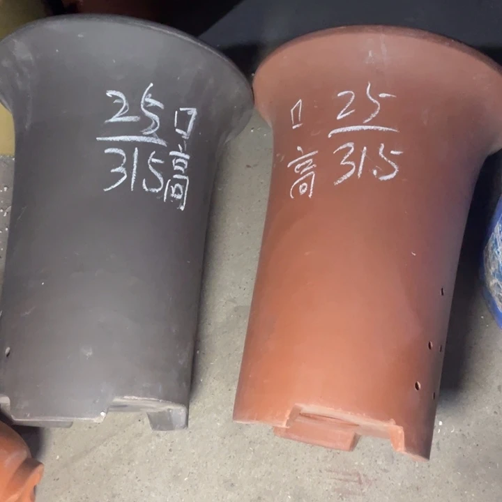 学生周三周四自作自受