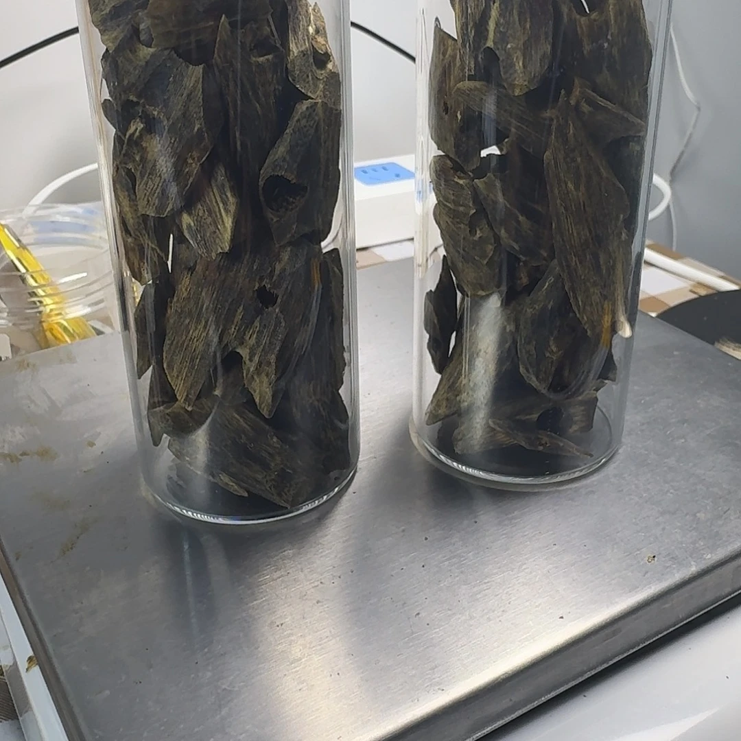 饮***喝沉香碎屑沉香白棋块料